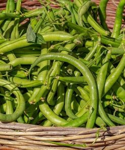 Haricots et légumes secs