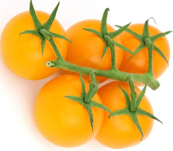 graines tomate cerise jaune