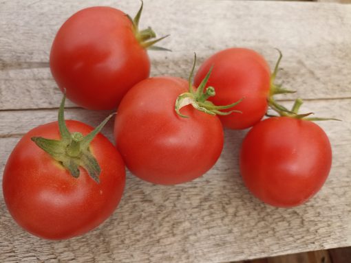 Tomate Durabelle