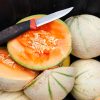 Melon patoutafaifix