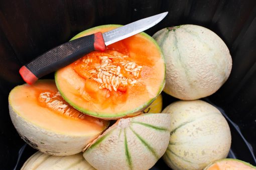 Melon patoutafaifix